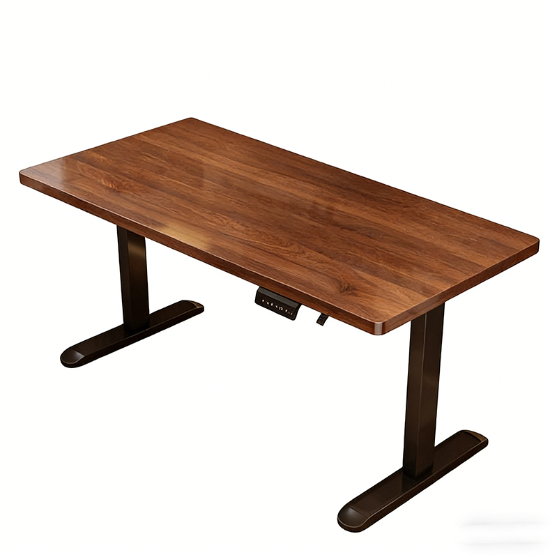 Modern Iron Dual Motor Electri - Desk Setup Ergonomic 리뷰 및 가격