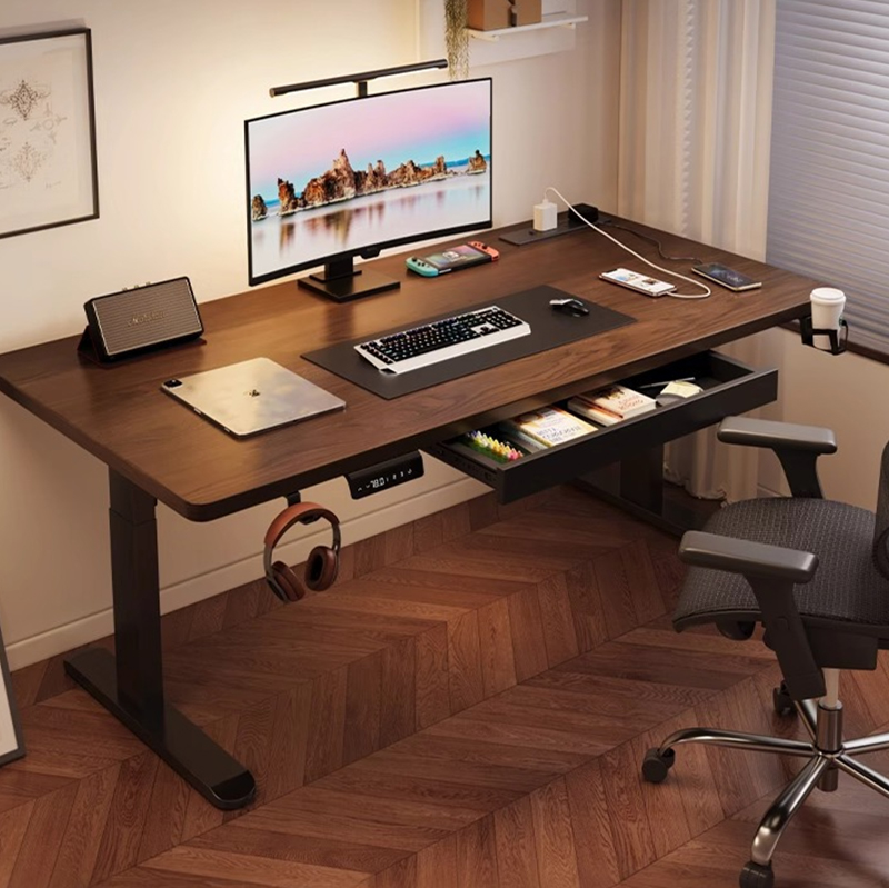 Modern Iron Dual Motor Electri - Desk Setup Ergonomic 리뷰 및 가격