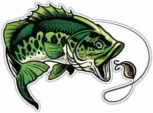 Perch Fishing Stickers Window  - Desk Setup Ideas 리뷰 및 가격